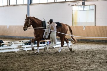 Bild 188 - Voltigierturnier